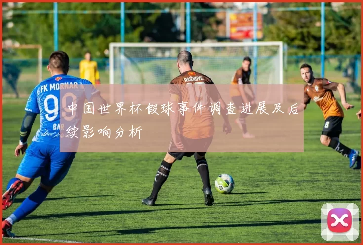 中国世界杯假球事件调查进展及后续影响分析