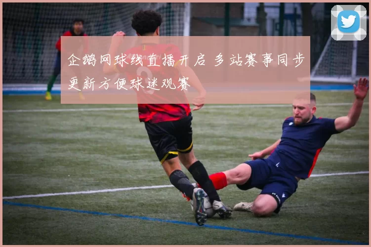 企鹅网球线直播开启 多站赛事同步更新方便球迷观赛
