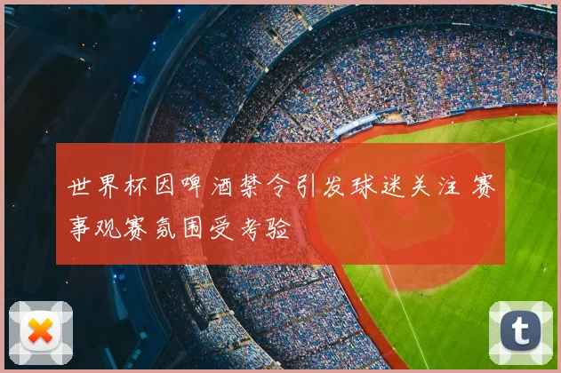 世界杯因啤酒禁令引发球迷关注 赛事观赛氛围受考验