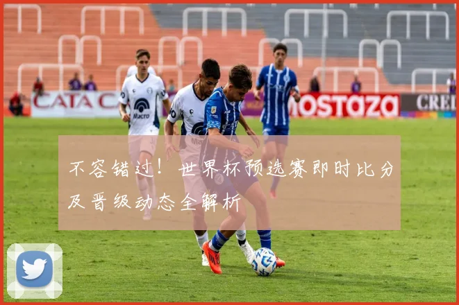 不容错过!世界杯预选赛即时比分及晋级动态全解析
